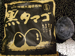 箱根60.jpg