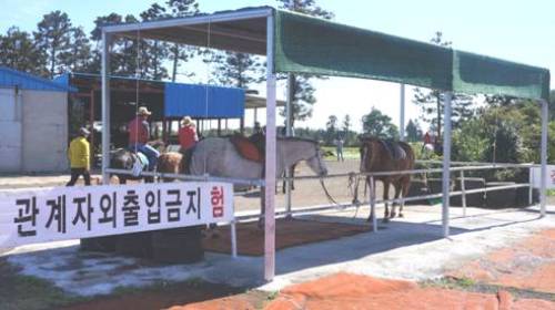 韓国旅行 済州島