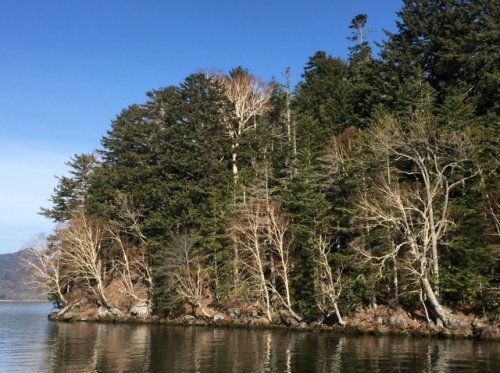 IMG_8170 (640x478).jpg