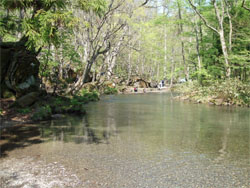 十和田湖22.jpg