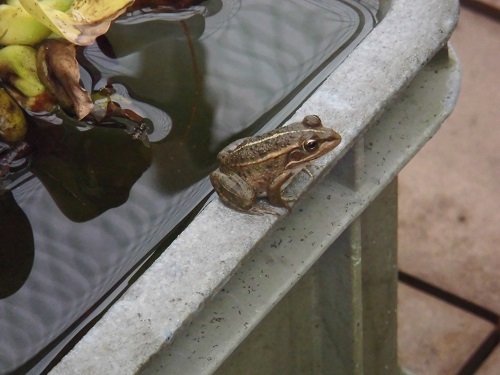 2013.9.8 020 - コピー.JPG