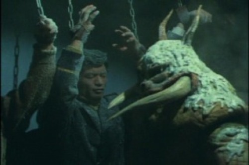 PDVD_009.jpg