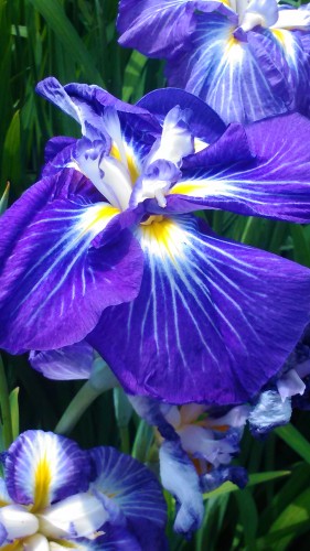 P_20160529_104033.jpg