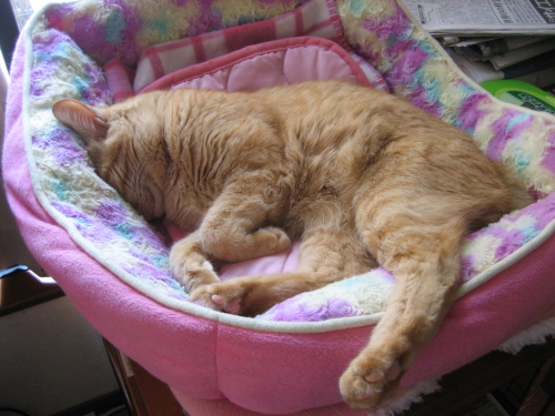 Sept. 19, 2015(6).JPG