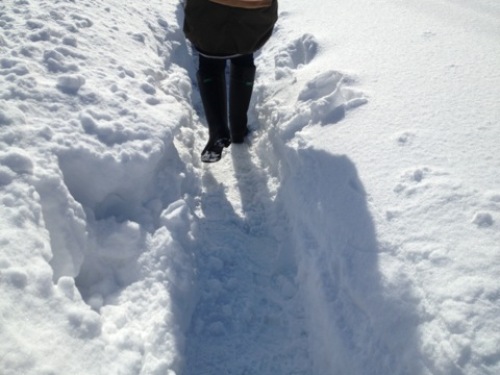 201302100819_4526_iphone.jpg