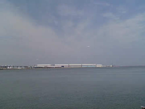 tamagawa02.jpg