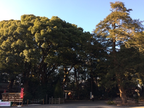 IMG_8213 - コピー.JPG