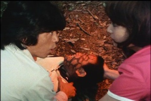 PDVD_015.jpg