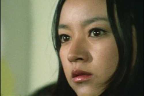 PDVD_045.jpg