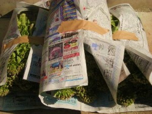 DSCN7197 (300x225).jpg