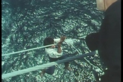 PDVD_015.jpg
