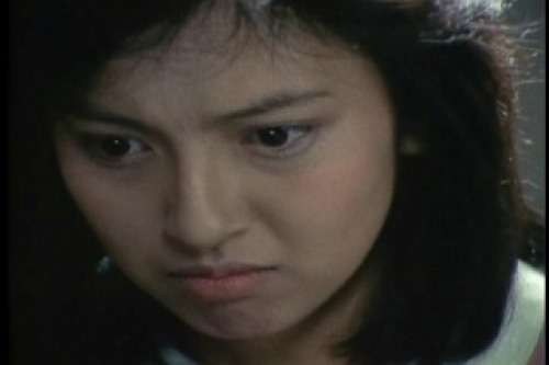 PDVD_013.jpg