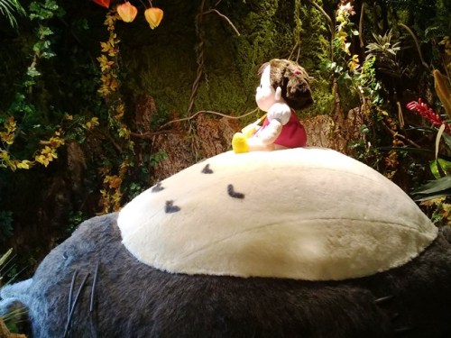 2016-10-15 13.42.36.jpg