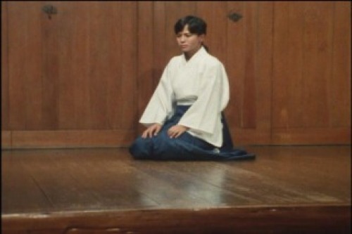 PDVD_035.jpg