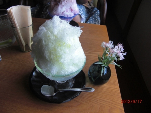 CIMG6358 (640x480).jpg