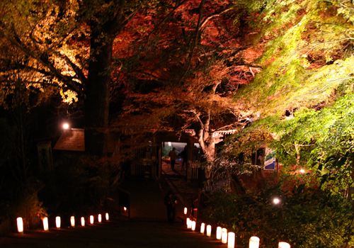 紅葉04.jpg