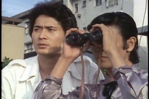 PDVD_009.jpg