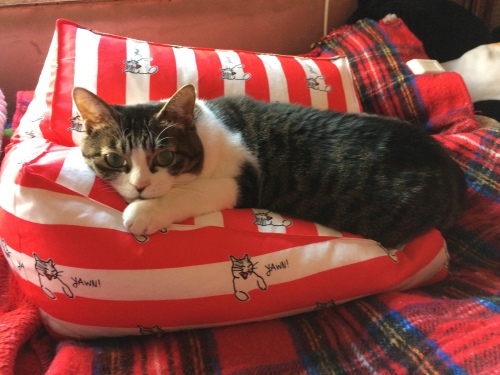 IMG_0820 - コピー.JPG