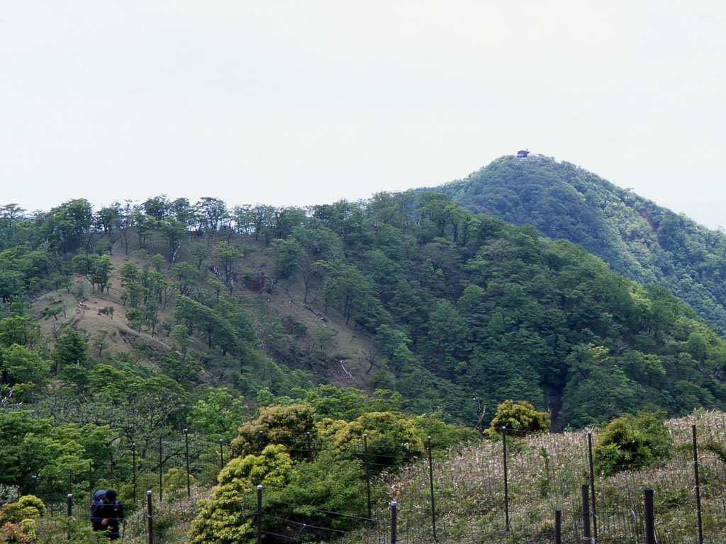 塔ノ岳