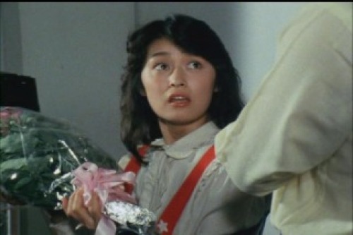 PDVD_018.jpg