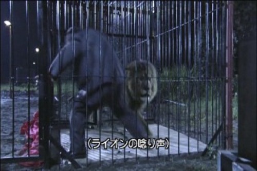 PDVD_013.jpg