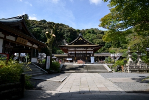 pict-松尾大社 11.jpg