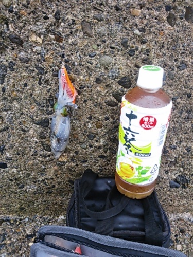 20120923 DSC_0019.JPG