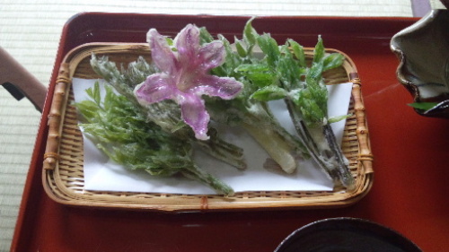 むくの木　山菜の天ぷら.jpg