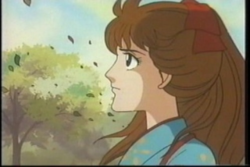 PDVD_013.jpg