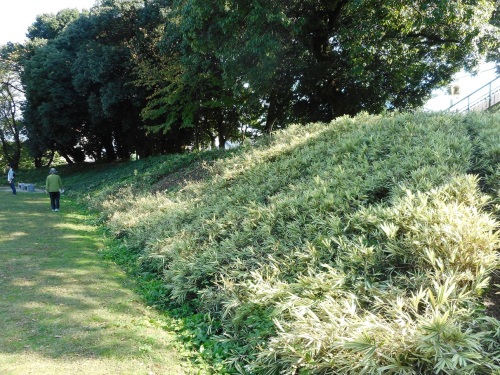 小牧山城南側土塁 (2).JPG