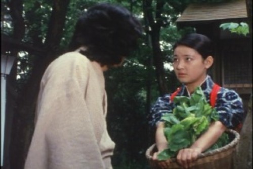 PDVD_001.jpg