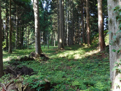 増山城安室屋敷.JPG