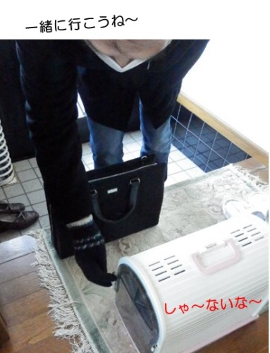 20150216_3.jpg