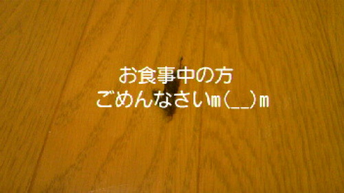 2012030719120000.jpg