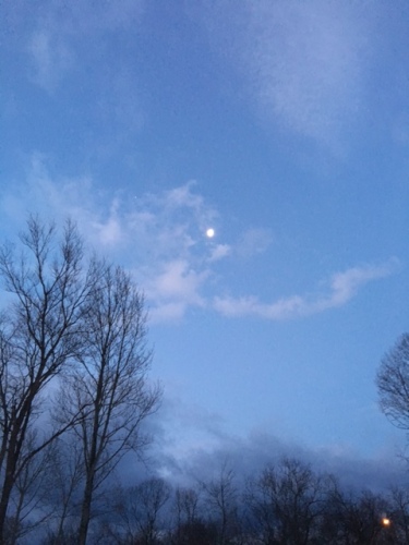 20151231ウォーキング (3).JPG