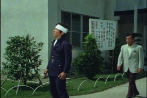 PDVD_017.jpg