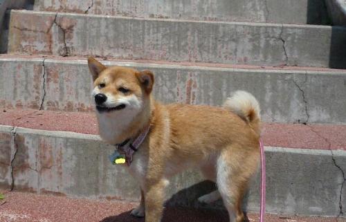上り４.JPG