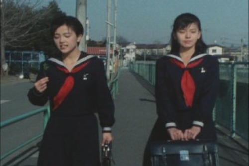 PDVD_002.jpg