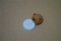 クローズアップ2.jpg
