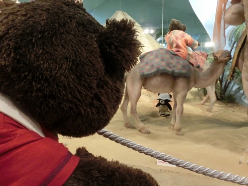 CIMG8784 (1280x960).jpg