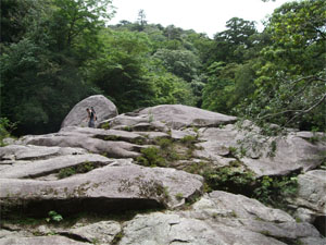屋久島28.jpg