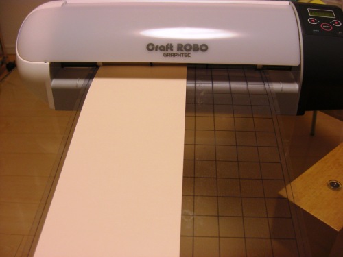CIMG0451.JPG