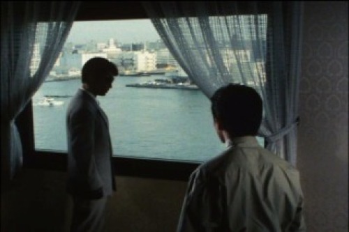 PDVD_006.jpg