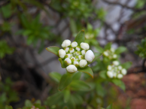 DSCN1379.JPG