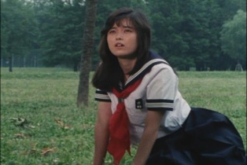 PDVD_021.jpg