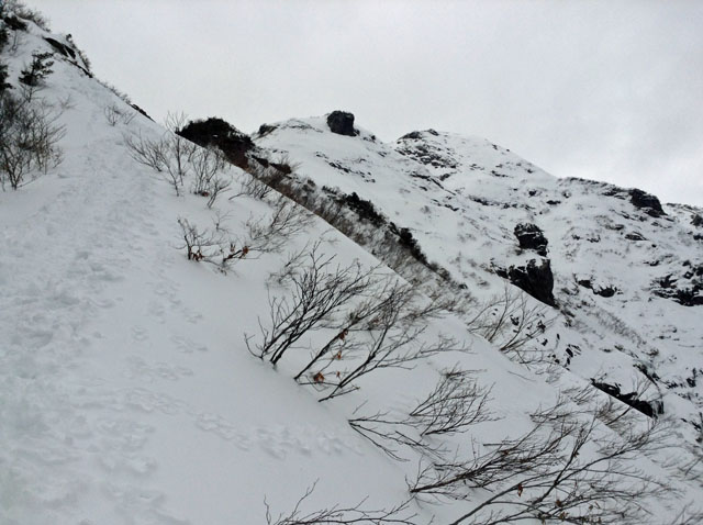 Shiragamon20160111.JPG
