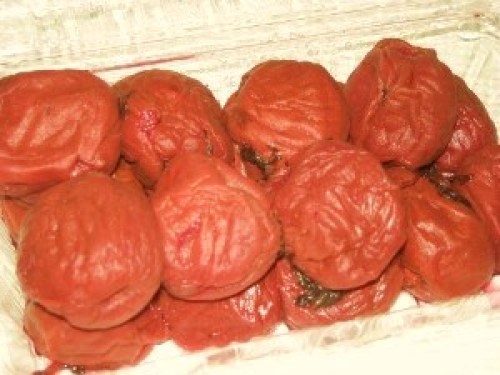 DSCN9090 (300x225).jpg