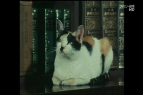 PDVD_024.jpg