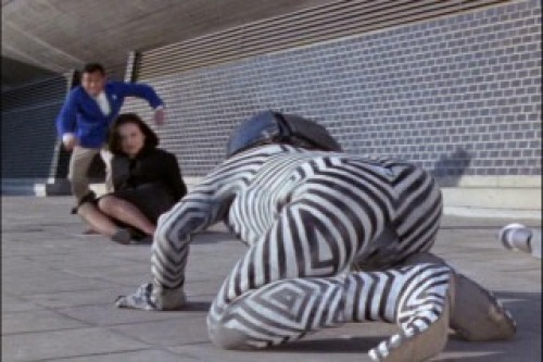 PDVD_018.jpg