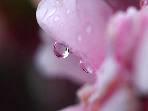 th_PC091651.jpg